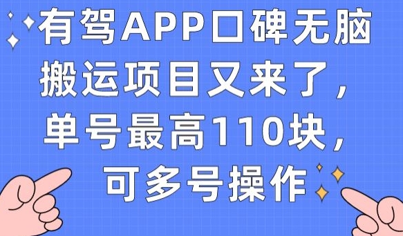 有驾APP口碑无脑搬运项目又来了，单号最高110块，可多号操作-鱼梓小栈