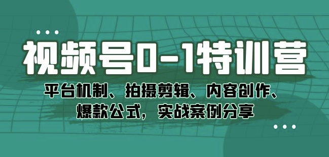 视频号0-1特训营：平台机制、拍摄剪辑、内容创作、爆款公式，实战案例分享-鱼梓小栈