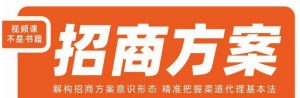 王昕招商方案，解构招商方案意识形态，精准把握渠道代理基本法-鱼梓小栈
