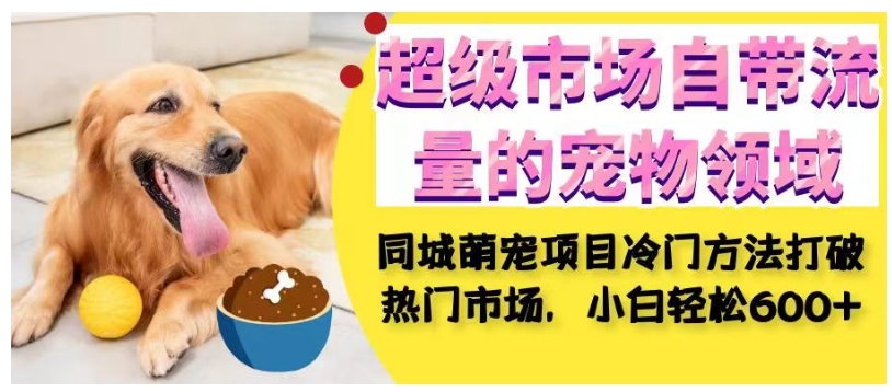 超级市场自带流量的宠物领域，同城萌宠项目冷门方法打破热门市场，小白轻松600+-鱼梓小栈