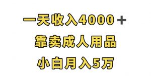 一天收入4000+，靠卖成人用品，小白轻松月入5万【揭秘】-鱼梓小栈
