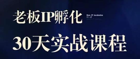 诸葛·2023老板IP实战课，实体同城引流获客，IP孵化必听-鱼梓小栈