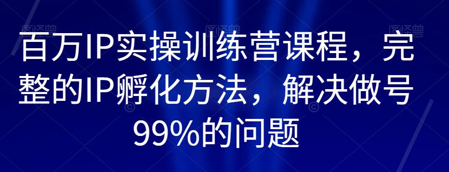 百万IP实操训练营课程，完整的IP孵化方法，解决做号99%的问题-鱼梓小栈