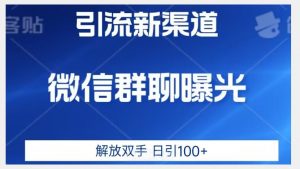 价值2980的全新微信引流技术，只有你想不到，没有做不到【揭秘】-鱼梓小栈