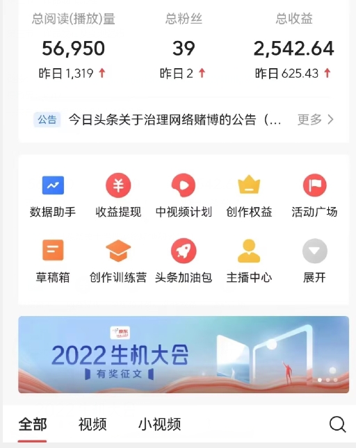 全新蓝海，西瓜视频流量掘金项目，简单上手适合0基础小白，暴力玩法日入500＋【揭秘】-鱼梓小栈