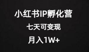 价值2000+的小红书IP孵化营项目,超级大蓝海,七天即可开始变现,稳定月入1W+-鱼梓小栈