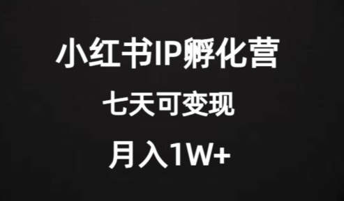 价值2000+的小红书IP孵化营项目，超级大蓝海，七天即可开始变现，稳定月入1W+-鱼梓小栈
