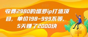 收费2980的塔罗ip打造项目，单价198-999不等，5天赚了2000块【揭秘】-鱼梓小栈