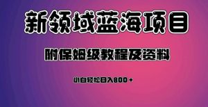 虚拟资源蓝海领域新项目，轻松日入800＋，附保姆级教程及资料-鱼梓小栈