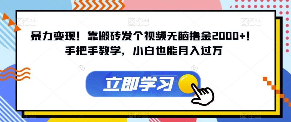 暴力变现！靠搬砖发个视频无脑撸金2000+！手把手教学，小白也能月入过万【揭秘】-鱼梓小栈