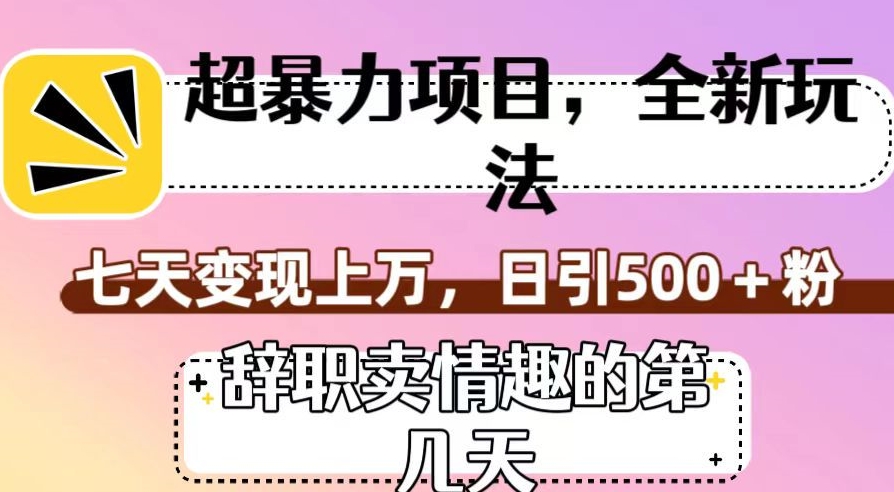 超暴利项目，全新玩法（辞职卖情趣的第几天），七天变现上万，日引500+粉【揭秘】-鱼梓小栈