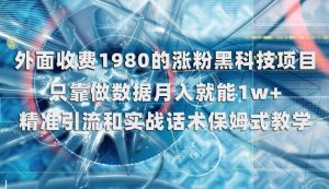 外面收费1980的涨粉黑科技项目，只靠做数据月入就能1w+【揭秘】-鱼梓小栈