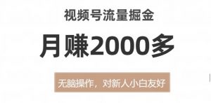 视频号流量掘金，无脑操作，对新人小白友好，月赚2000多【揭秘】-鱼梓小栈