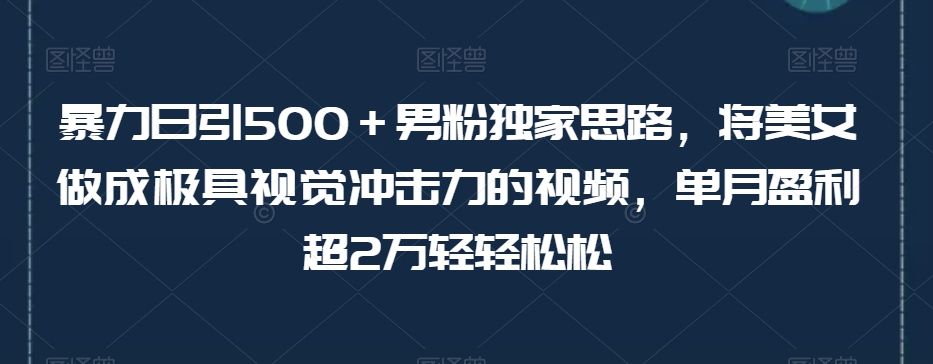暴力日引500＋男粉独家思路，将美女做成极具视觉冲击力的视频，单月盈利超2万轻轻松松-鱼梓小栈