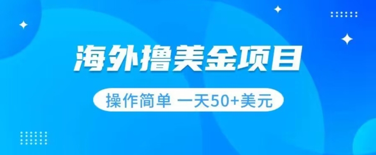 撸美金项目无门槛操作简单小白一天50+美刀-鱼梓小栈