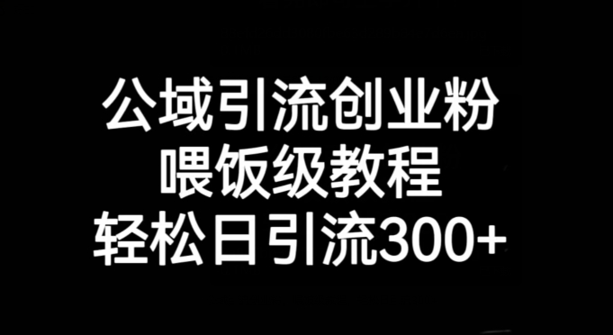 公域引流创业粉，喂饭级教程，轻松日引流300+【揭秘】-鱼梓小栈