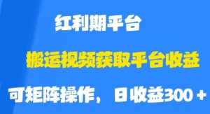 搬运视频获取平台收益，平台红利期，附保姆级教程【揭秘】-鱼梓小栈