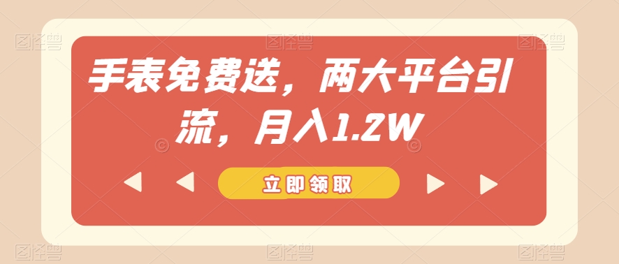 手表免费送，两大平台引流，月入1.2W【揭秘】-鱼梓小栈