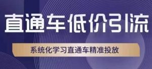 直通车低价引流课,系统化学习直通车精准投放-鱼梓小栈