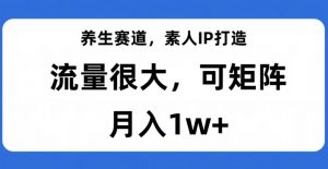 养生赛道，素人IP打造，流量很大，可矩阵，月入1w+【揭秘】-鱼梓小栈