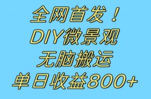 全网首发冷门赛道!DIY微景观,无脑搬运视频,日收益800+【揭秘】-鱼梓小栈