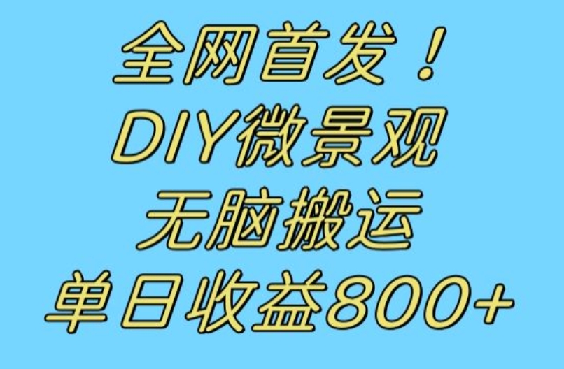 全网首发冷门赛道！DIY微景观，无脑搬运视频，日收益800+【揭秘】-鱼梓小栈