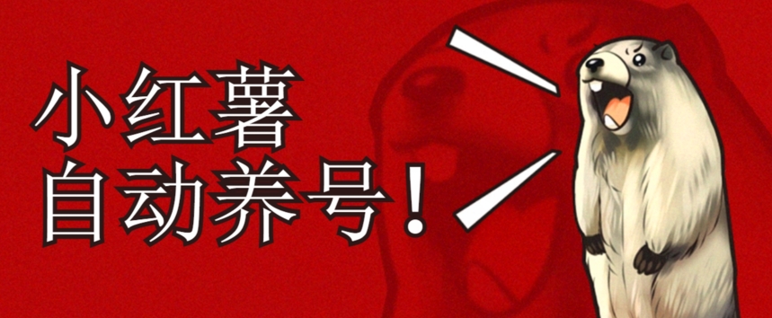小红书养号秘籍，如何自动涨粉清晰系统标签打造高权重账号【揭秘】-鱼梓小栈