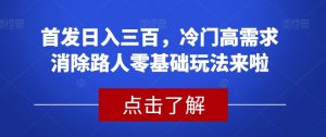 首发日入三百，冷门高需求消除路人零基础玩法来啦【揭秘】-鱼梓小栈