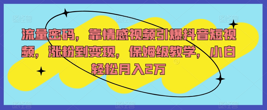 流量密码，靠情感视频引爆抖音短视频，涨粉到变现，保姆级教学，小白轻松月入2万【揭秘】-鱼梓小栈
