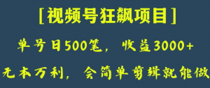 日收款500笔，纯利润3000+，视频号狂飙项目，会简单剪辑就能做【揭秘】-鱼梓小栈