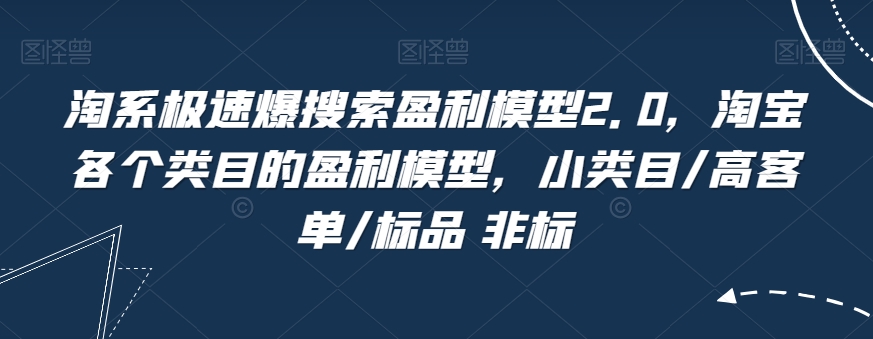 淘系极速爆搜索盈利模型2.0，淘宝各个类目的盈利模型，小类目/高客单/标品 非标-鱼梓小栈