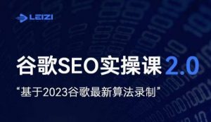 雷子·谷歌SEO 2.0实战课,独立站询盘自由必备,基于2023谷歌最新算法录制-鱼梓小栈