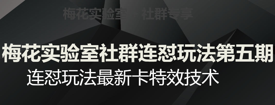 梅花实验室社群连怼玩法第五期，视频号连怼玩法最新卡特效技术-鱼梓小栈