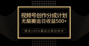 最新视频号创作分成计划，无脑搬运一天收益500+，100%搬运过原创技巧【揭秘】-鱼梓小栈