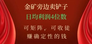 金矿旁边卖铲子，赚确定性的钱，可矩阵，可收徒，日均利润4位数【揭秘】-鱼梓小栈