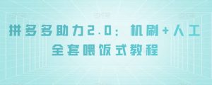 拼多多助力2.0：机刷+人工全套喂饭式教程【揭秘】-鱼梓小栈