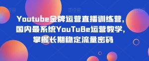 Youtube金牌运营直播训练营,国内最系统YouTuBe运营教学,掌握长期稳定流量密码-鱼梓小栈
