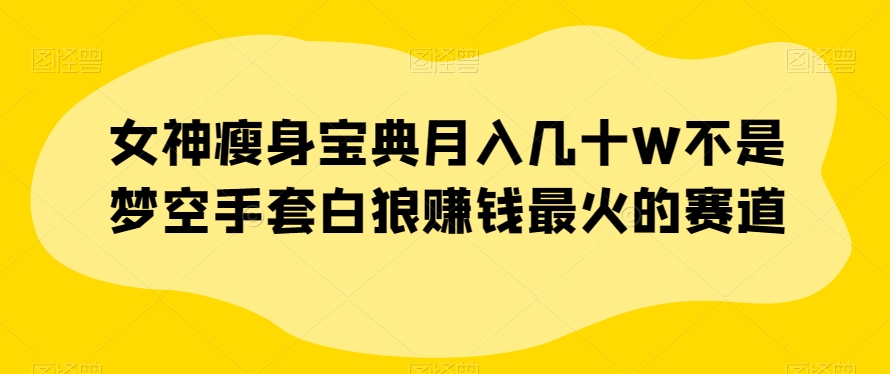 女神瘦身宝典月入几十W不是梦空手套白狼赚钱最火的赛道【揭秘】-鱼梓小栈