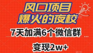 全网首发，爆火的夜校，7天加满6个微信群，变现2w+【揭秘】-鱼梓小栈