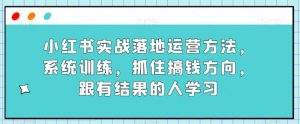 小红书实战落地运营方法，系统训练，抓住搞钱方向，跟有结果的人学习-鱼梓小栈