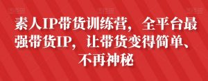 素人IP带货训练营，全平台最强带货IP，让带货变得简单、不再神秘-鱼梓小栈
