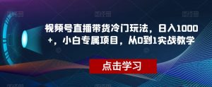 视频号直播带货冷门玩法，日入1000+，小白专属项目，从0到1实战教学【揭秘】-鱼梓小栈