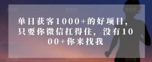 单日获客1000+的好项目，只要你微信扛得住，没有1000+你来找我【揭秘】-鱼梓小栈