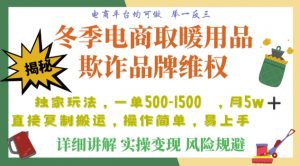 利用电商平台冬季销售取暖用品欺诈行为合理制裁店铺，单日入900+【仅揭秘】-鱼梓小栈