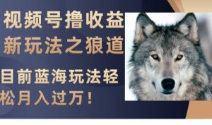 视频号撸收益新玩法之狼道，目前蓝海玩法，轻松月入过万【揭秘】-鱼梓小栈