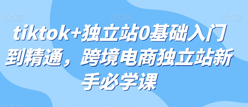 tiktok+独立站0基础入门到精通，跨境电商独立站新手必学课-鱼梓小栈