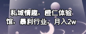 私域情趣，橙仁体验馆，暴利行业，月入2w【揭秘】-鱼梓小栈