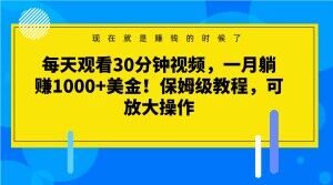 每天观看30分钟视频，一月躺赚1000+美金！保姆级教程，可放大操作【揭秘】-鱼梓小栈