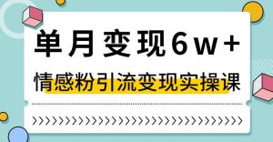 单月变现6W+，抖音情感粉引流变现实操课，小白可做，轻松上手，独家赛道【揭秘】-鱼梓小栈