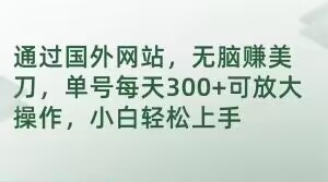 通过国外网站，无脑赚美刀，单号每天300+可放大操作，小白轻松上手【揭秘】-鱼梓小栈